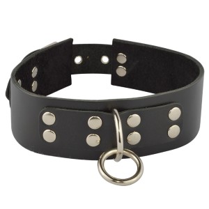 Ошейник с кольцом , длина 0.00см, диаметр 0.00см