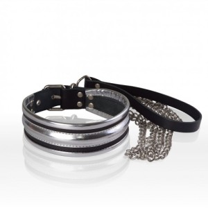 Ошейник серебристый с поводком , длина 40.00см, диаметр 0.00см